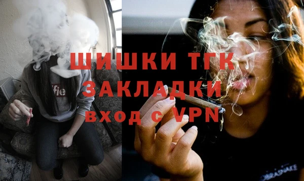 винт Ельня