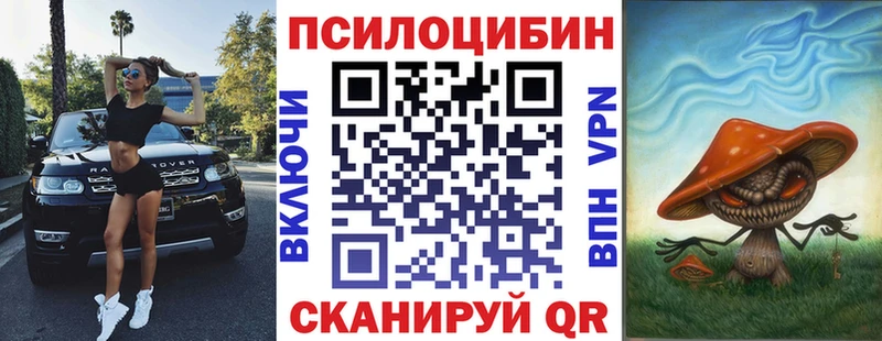 Галлюциногенные грибы Psilocybe Чехов